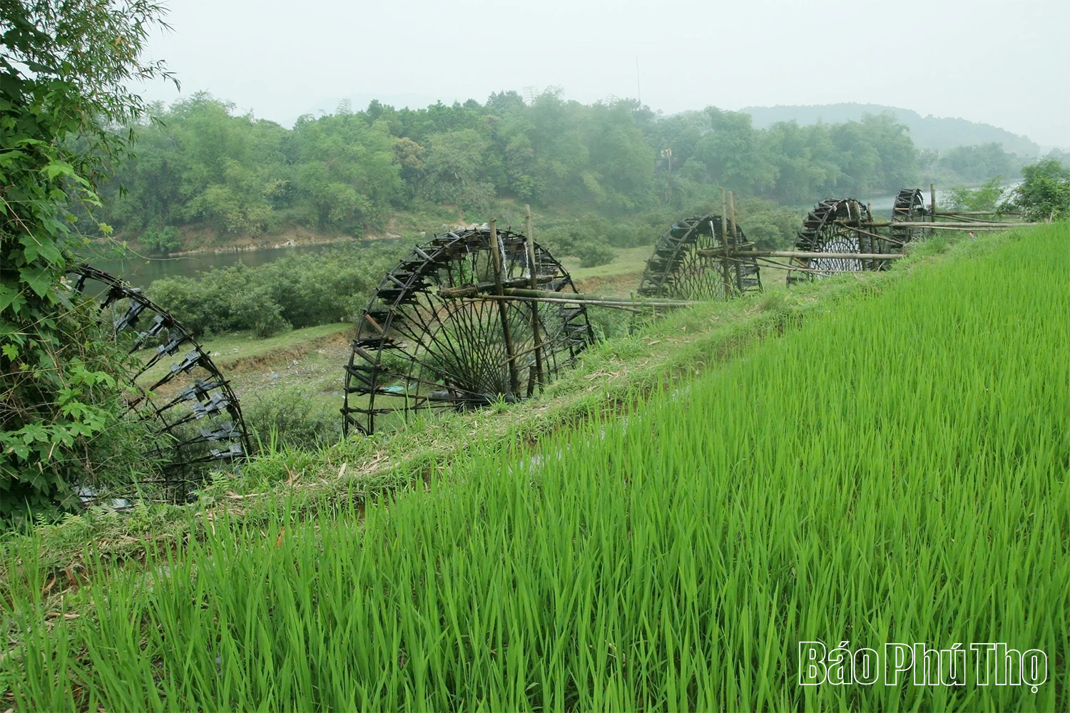 Du lịch Phú Thọ bừng sáng từ chiều sâu văn hóa