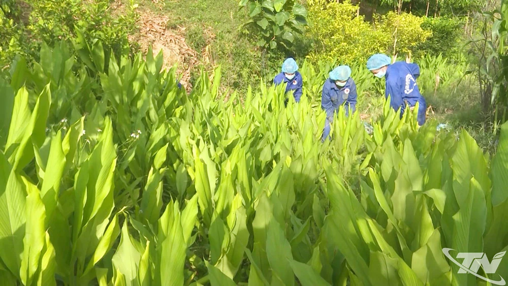 Tấm vé thông hành cho đặc sản địa phương