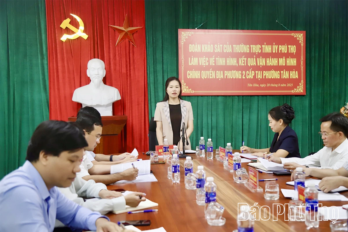 Khảo sát việc vận hành mô hình chính quyền địa phương 2 cấp tại phường Tân Hòa