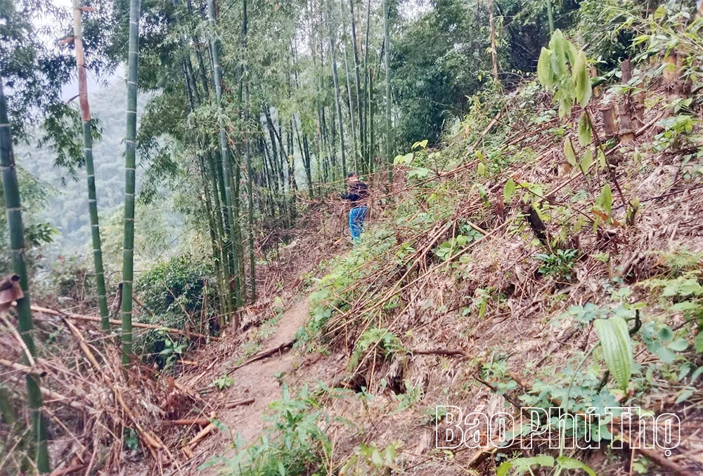 Nước mắt mùa giông bão trên vùng đất có nguy cơ cao về sạt lở