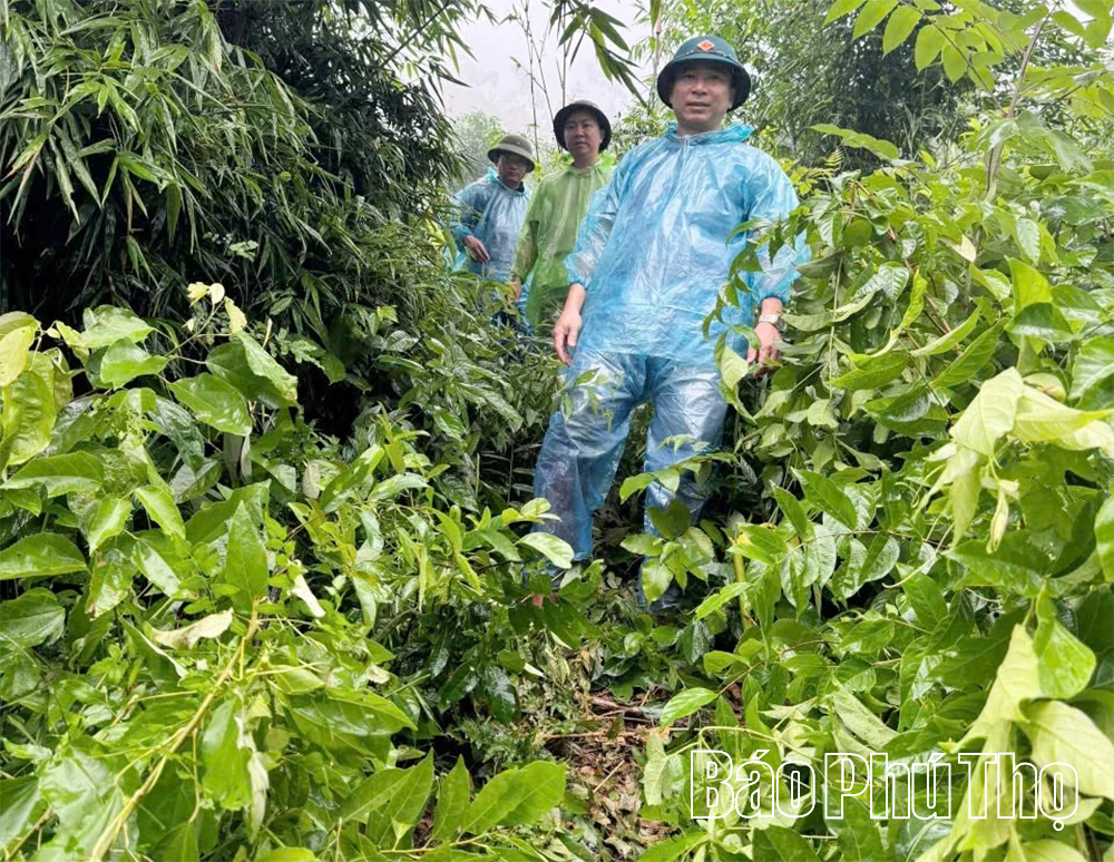 Nước mắt mùa giông bão trên vùng đất có nguy cơ cao về sạt lở