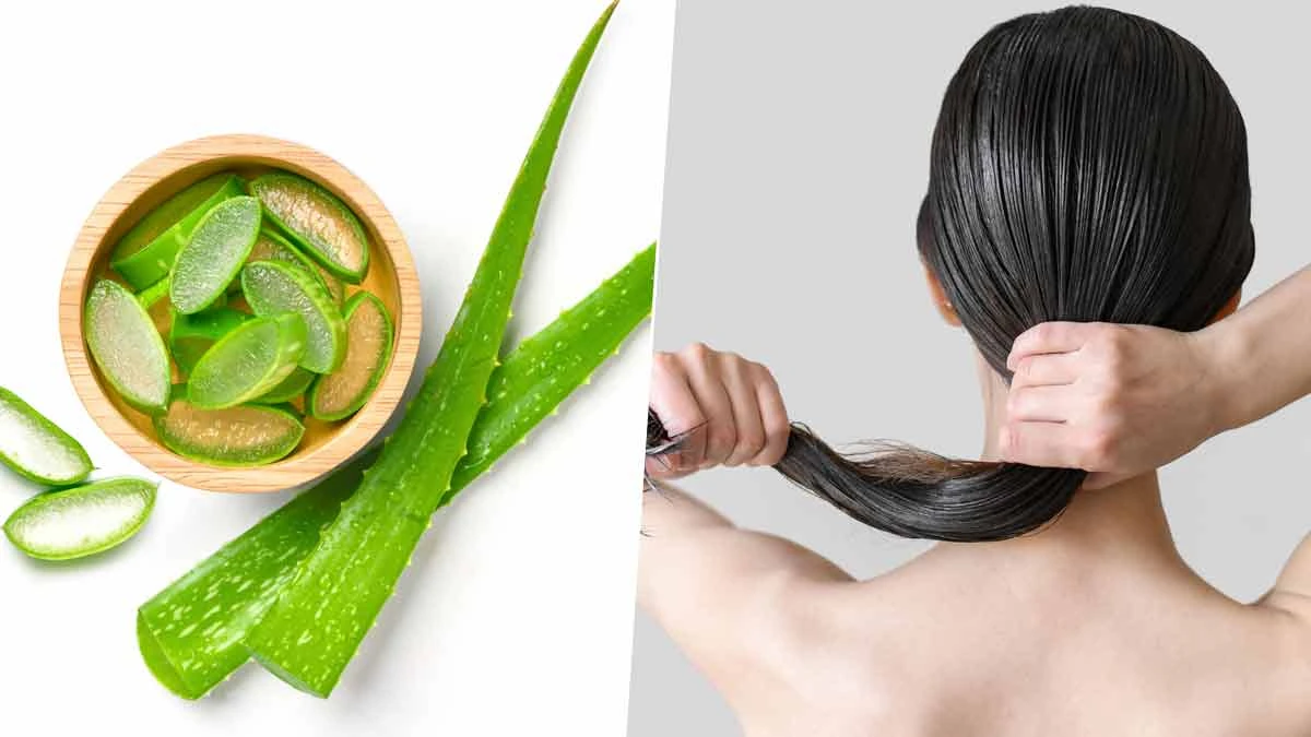 Cách sử dụng lô hội (nha đam) để có làn da sáng và mái tóc khỏe mạnh