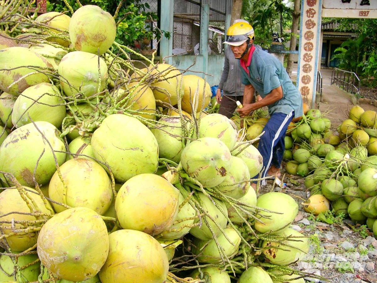 Vùng đất vàng của nông nghiệp hàng hóa
