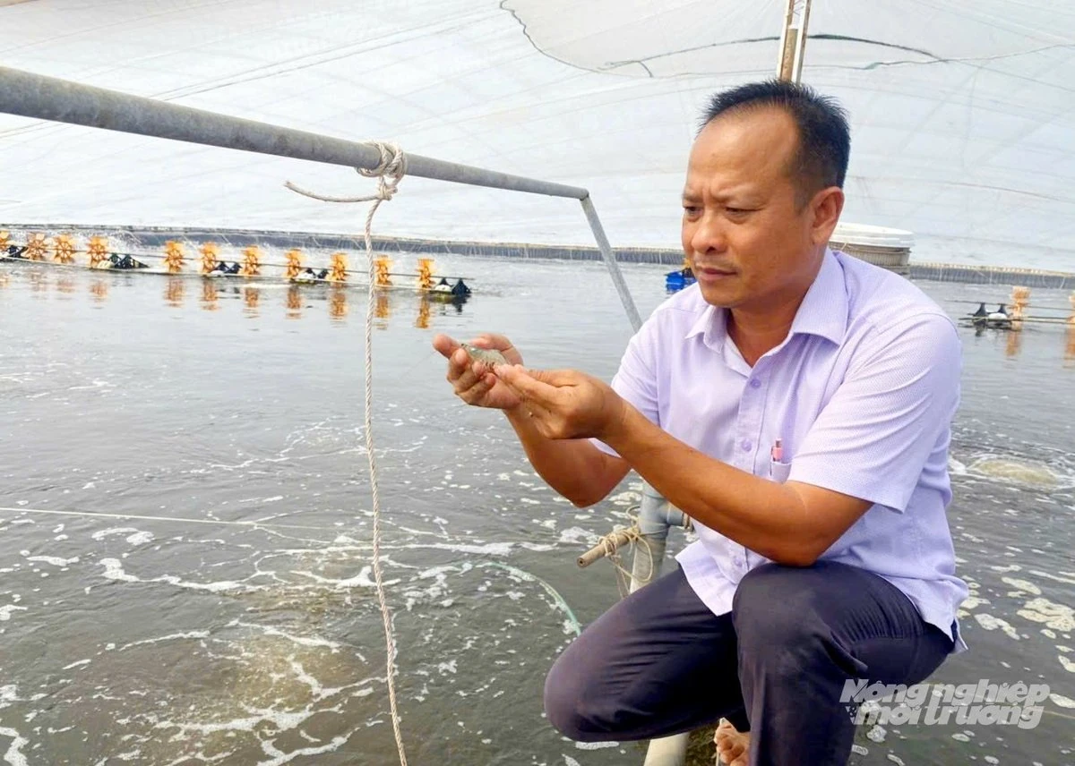 Vùng đất vàng của nông nghiệp hàng hóa