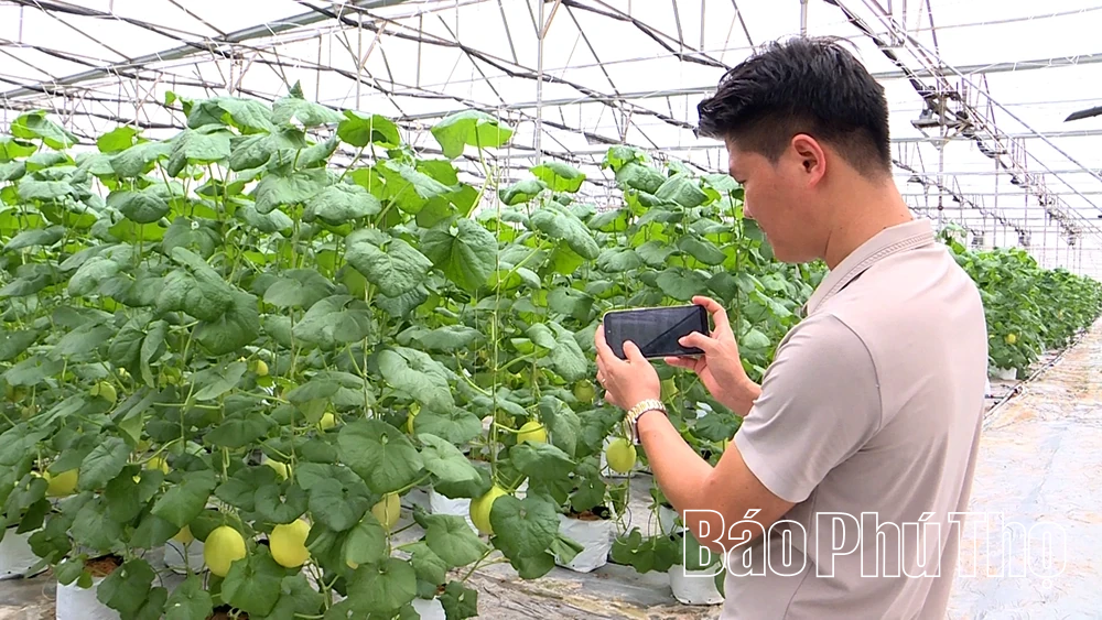Kỳ 2: Chuyển đổi số: chìa khóa vàng cho nông nghiệp Đất Tổ