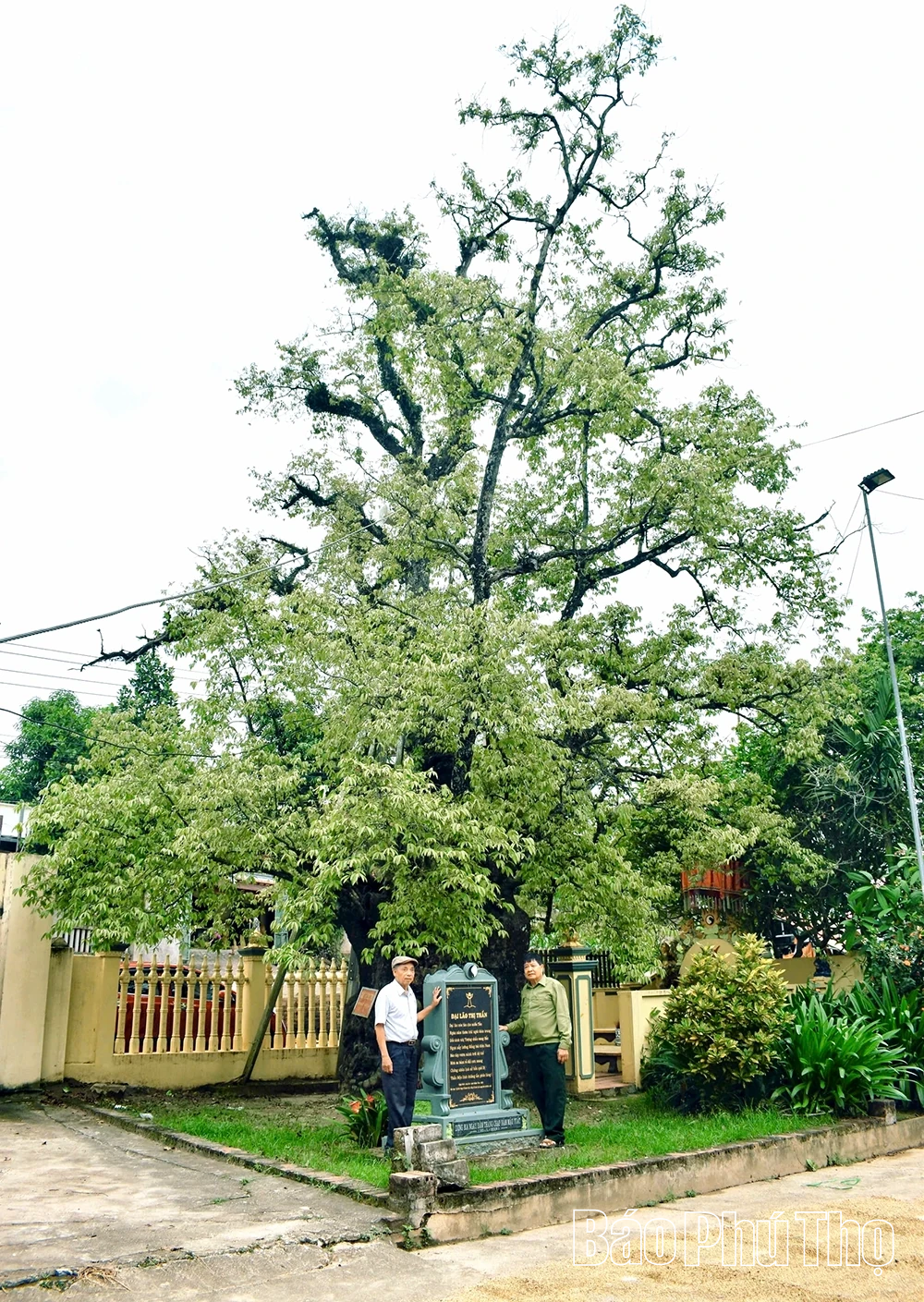 Người “gác đền” ký ức