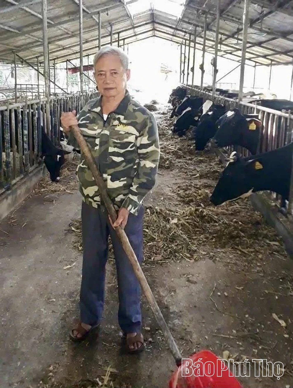 Phú Thọ có 3 nông dân nông dân Việt Nam xuất sắc và 1 Nhà khoa học của nhà nông