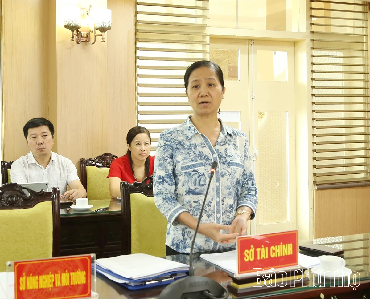 Ban Kinh tế - Ngân sách HĐND tỉnh thẩm tra các dự thảo nghị quyết