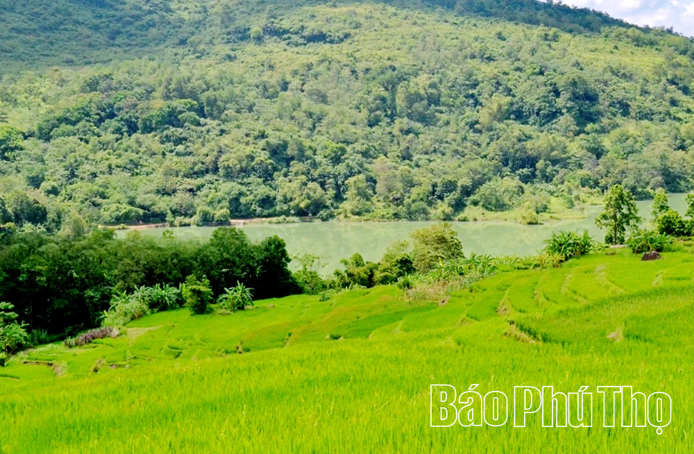 Mê mẩn ruộng bậc thang vùng cao Mường Vang