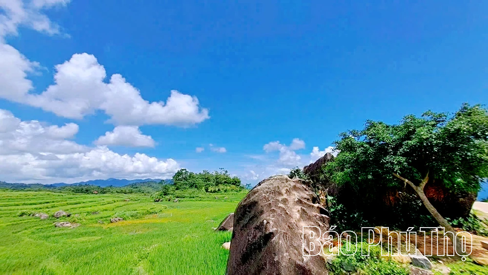Mê mẩn ruộng bậc thang vùng cao Mường Vang
