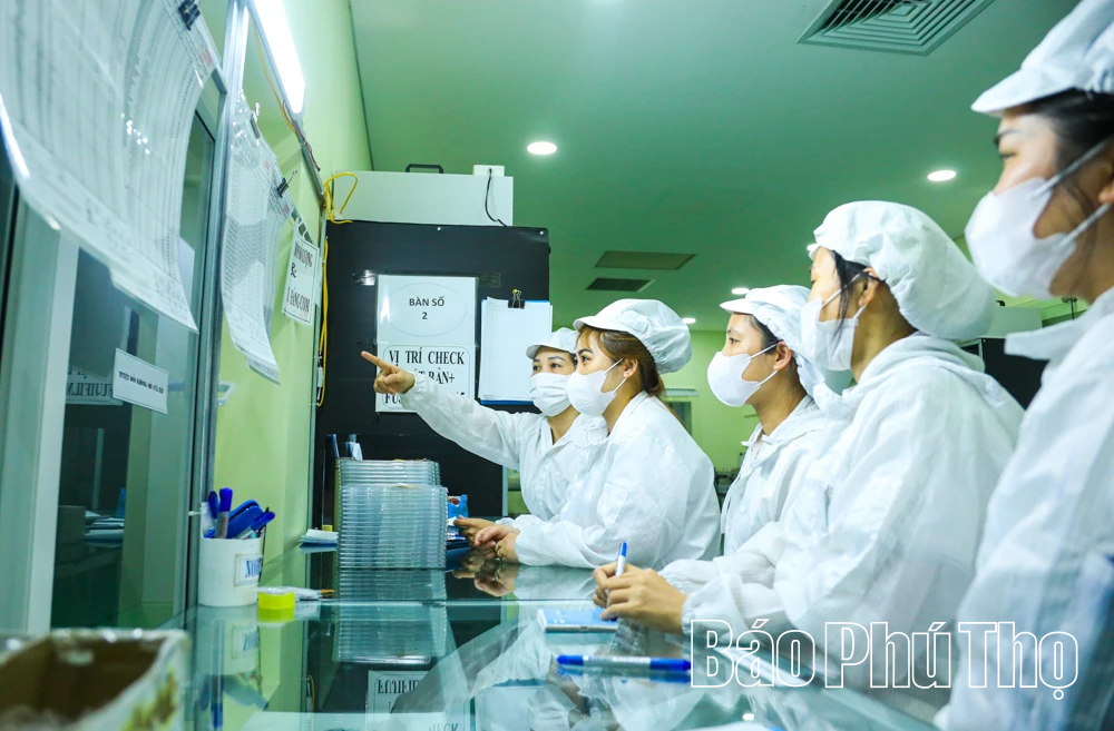 Hân hoan hướng về ngày hội lớn