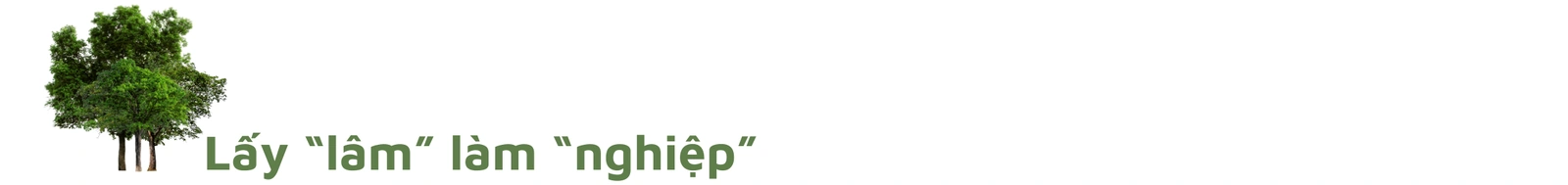 Kỳ II: Nghị quyết “Khoán” rừng