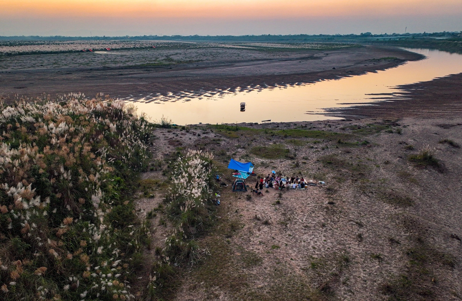 The colossal season of white reeds