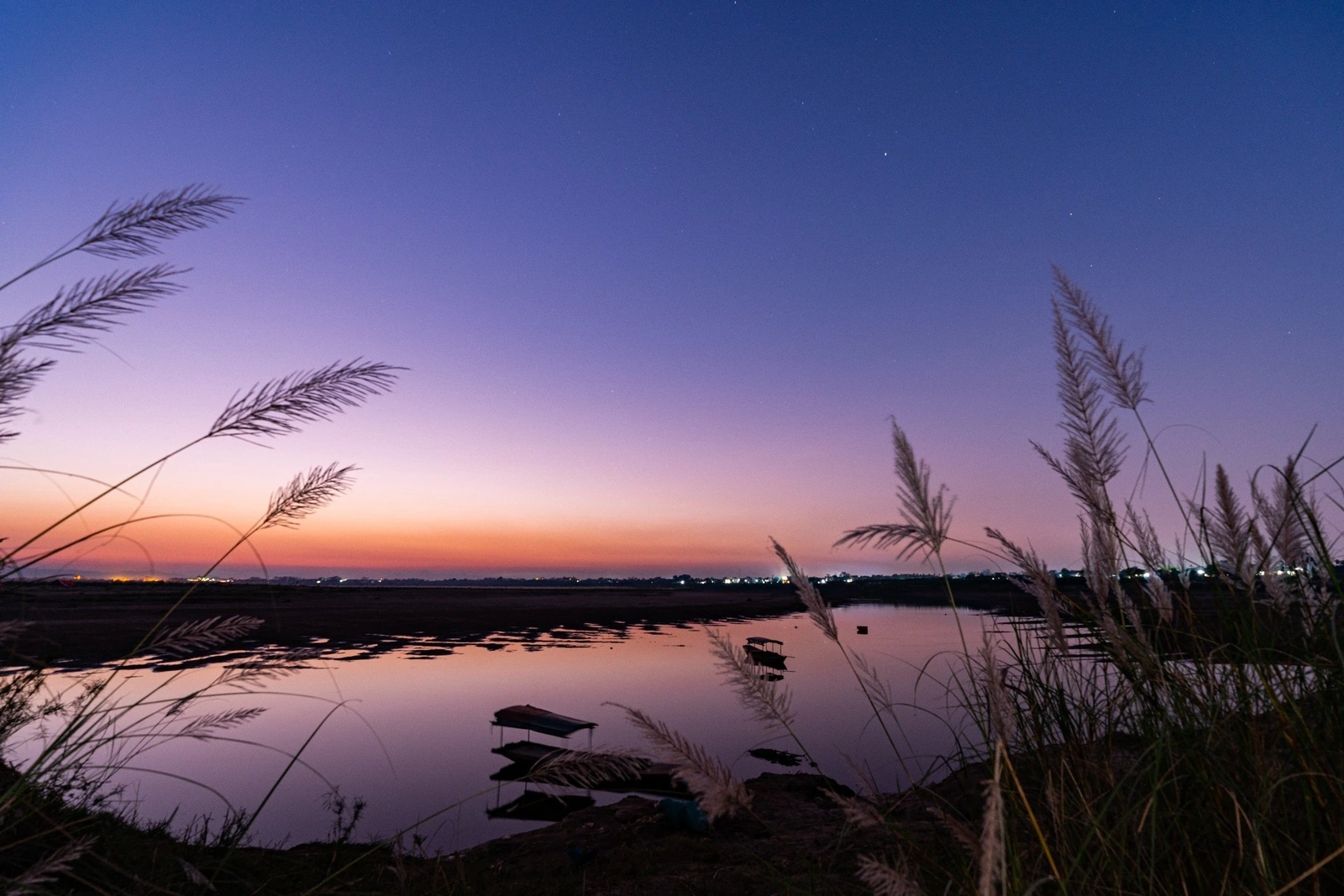 The colossal season of white reeds