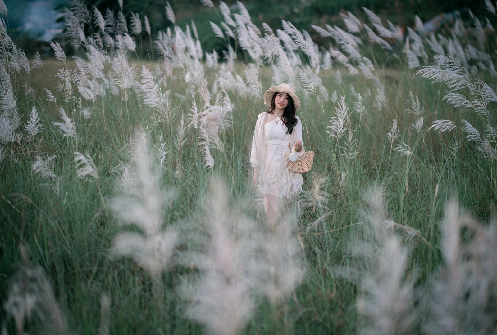 The colossal season of white reeds