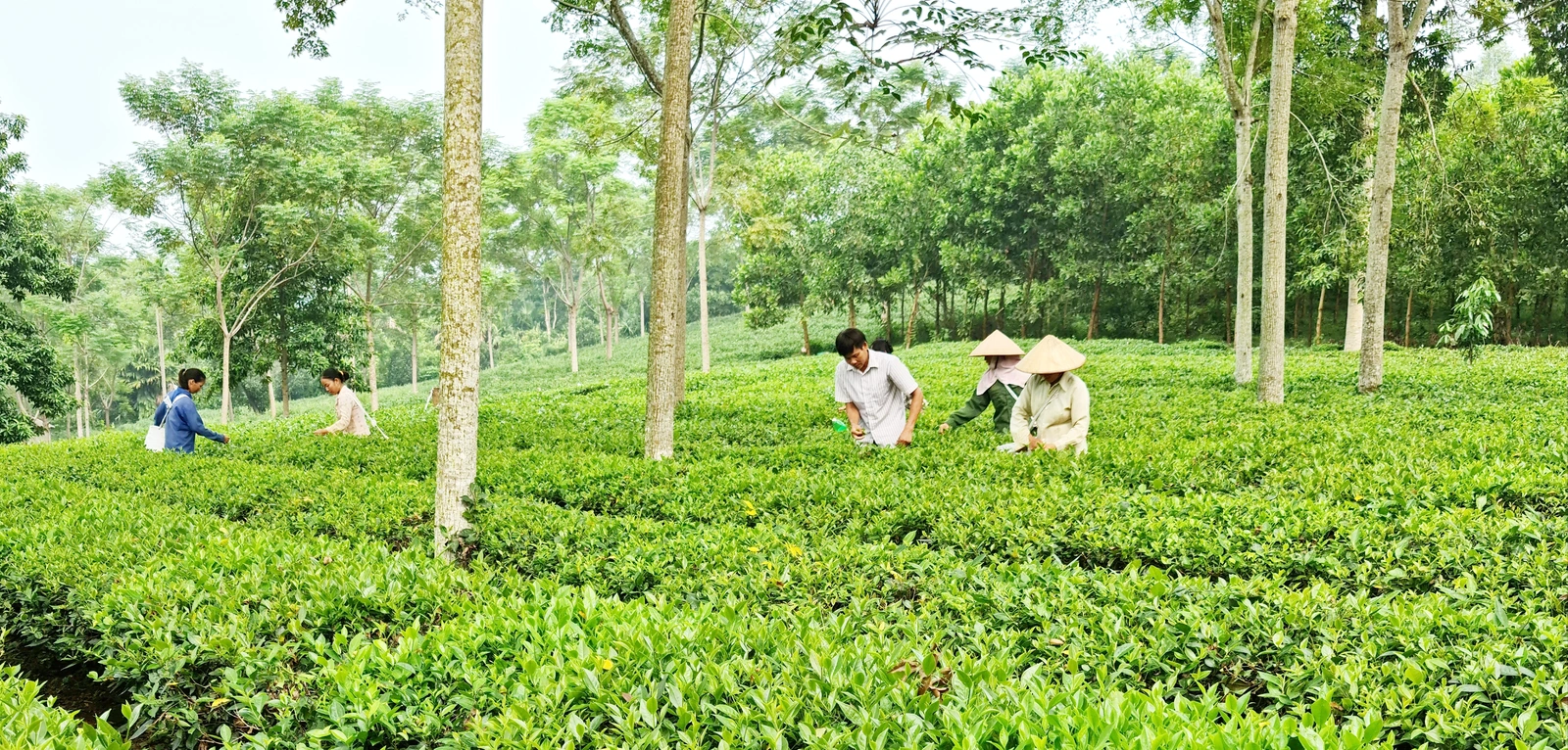 Kỳ 3: Nâng cao năng lực, chất lượng giám sát