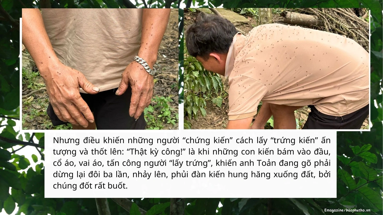 Món ăn cuối xuân của người Mường