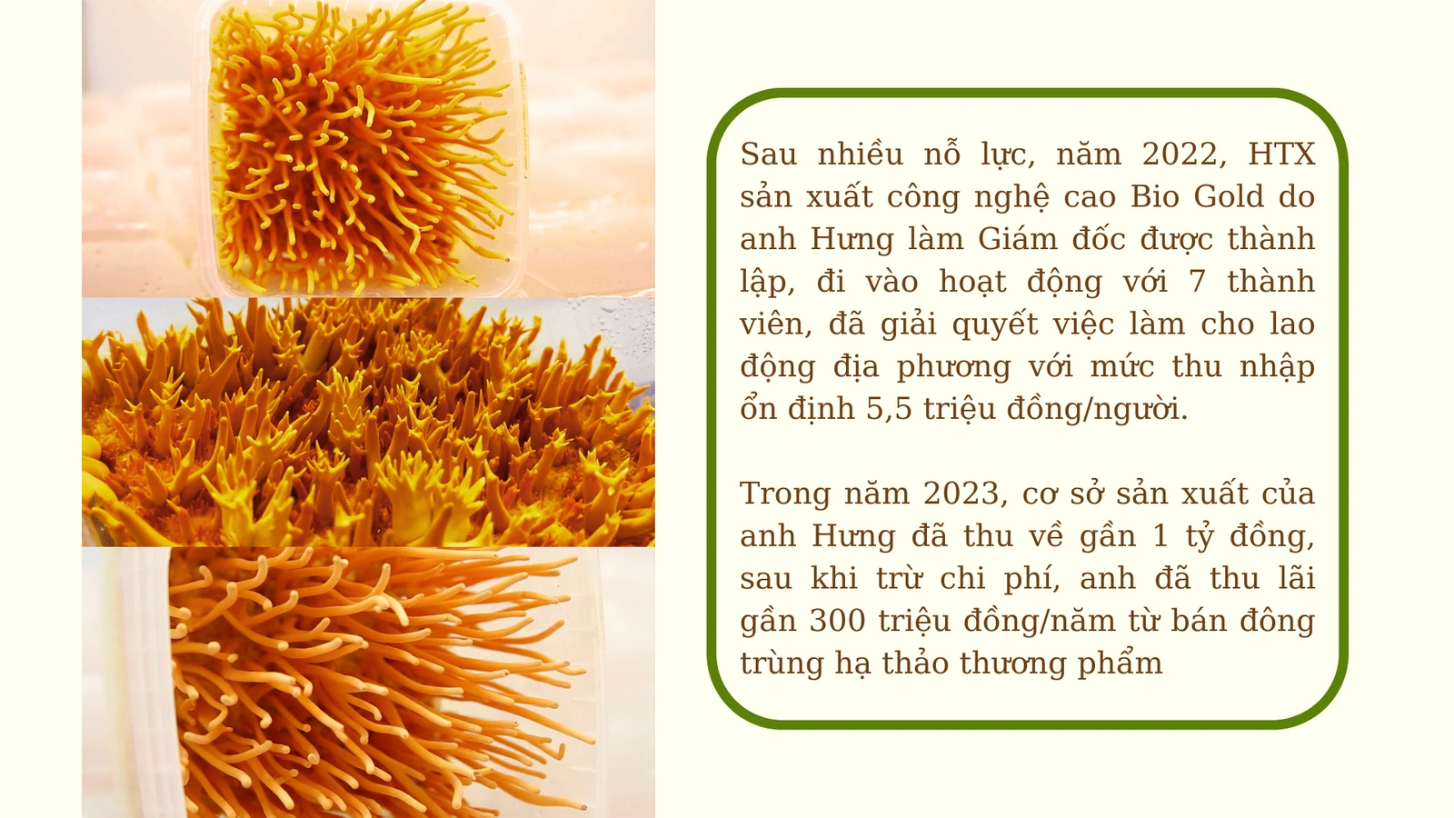 “Vàng mềm” - hướng đi mới cho nông sản Đất Tổ