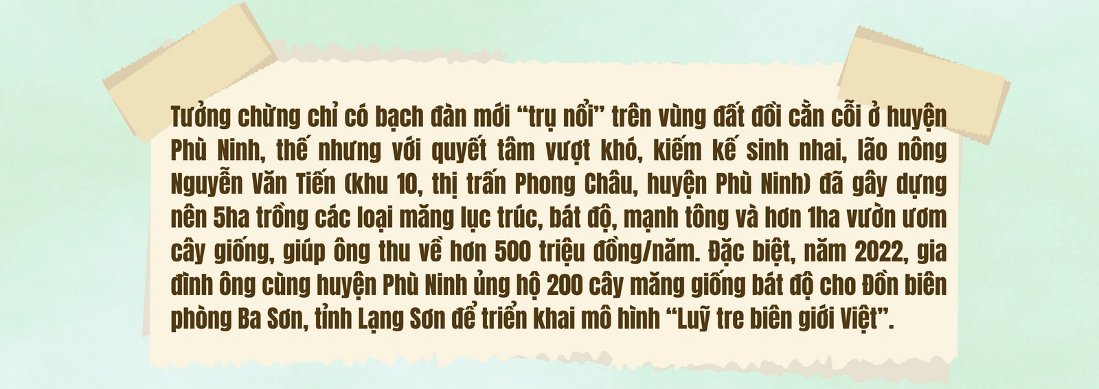 Người góp vành đai xanh “Luỹ tre biên giới Việt”
