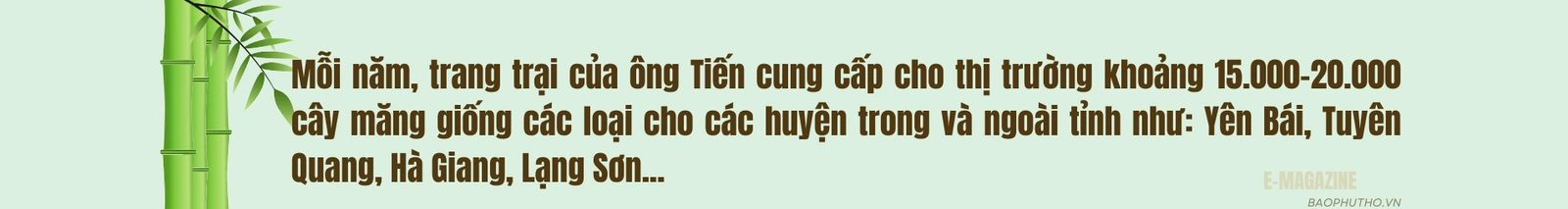 Người góp vành đai xanh “Luỹ tre biên giới Việt”