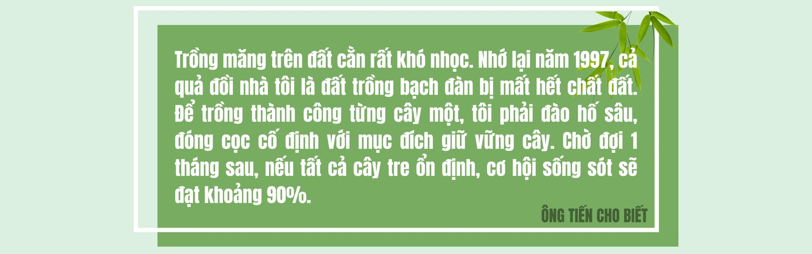 Người góp vành đai xanh “Luỹ tre biên giới Việt”