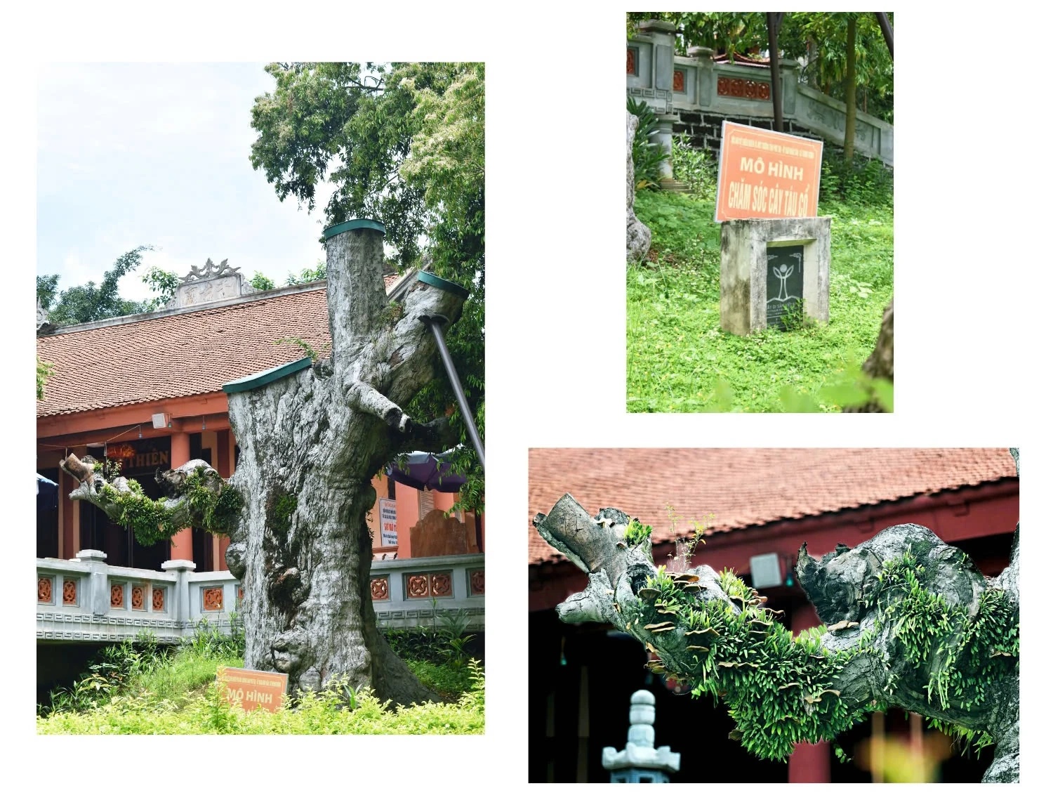 Kỳ II: Đã vinh danh phải... hữu danh!