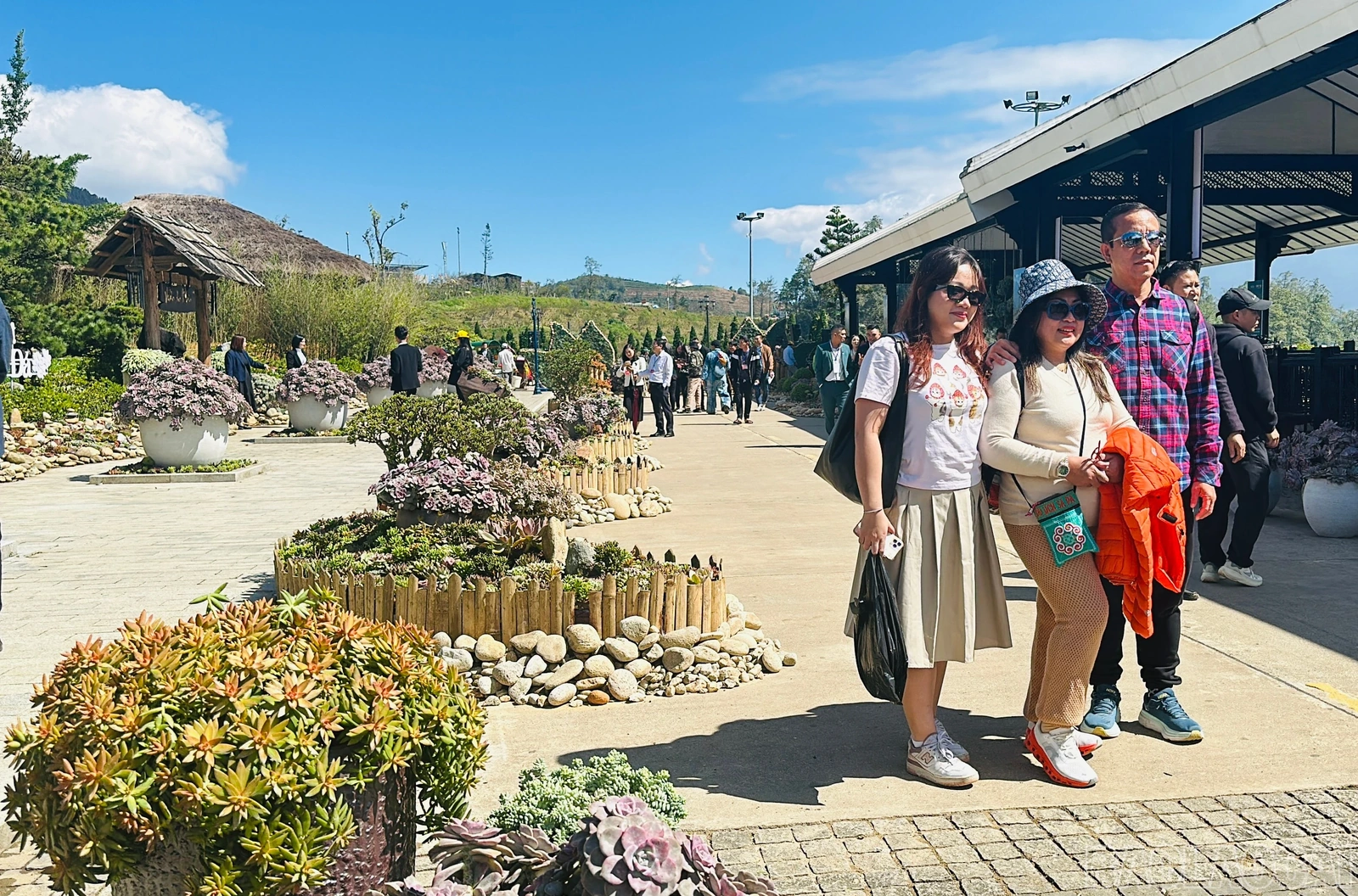 Lễ hội hoa sen đá trong mùa săn mây đẹp nhất năm tại Sa Pa