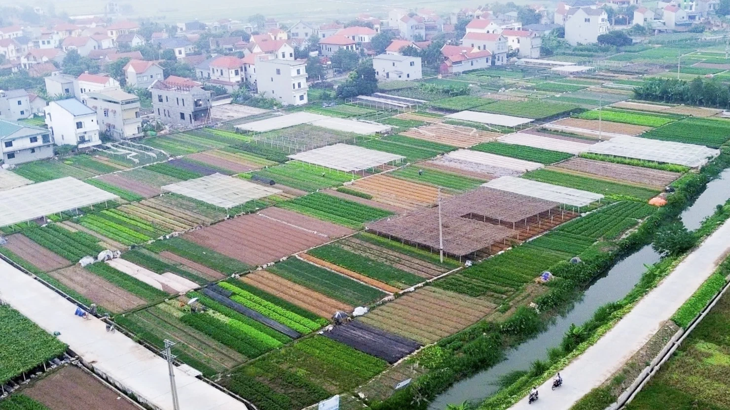 Sắc Xuân nông thôn mới