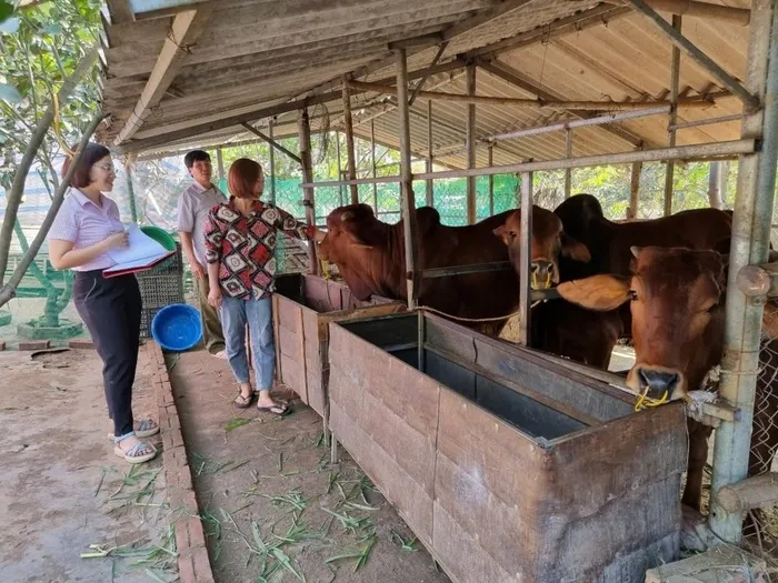 Phát huy hiệu quả tín dụng ưu đãi trong giảm nghèo