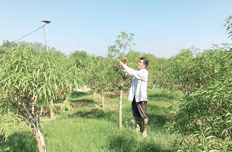 Gìn giữ, vun đắp nghề truyền thống