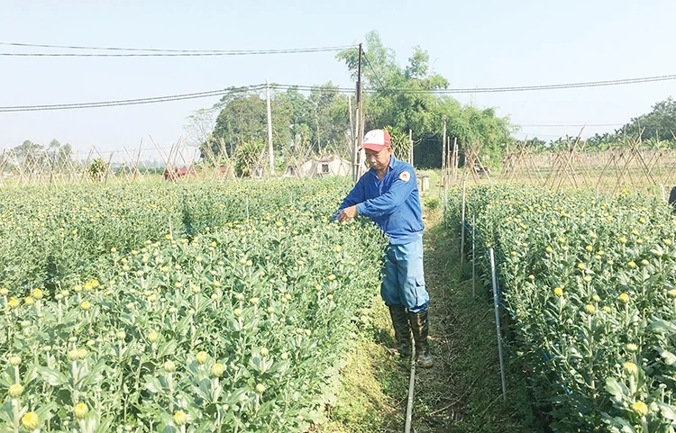 Gìn giữ, vun đắp nghề truyền thống