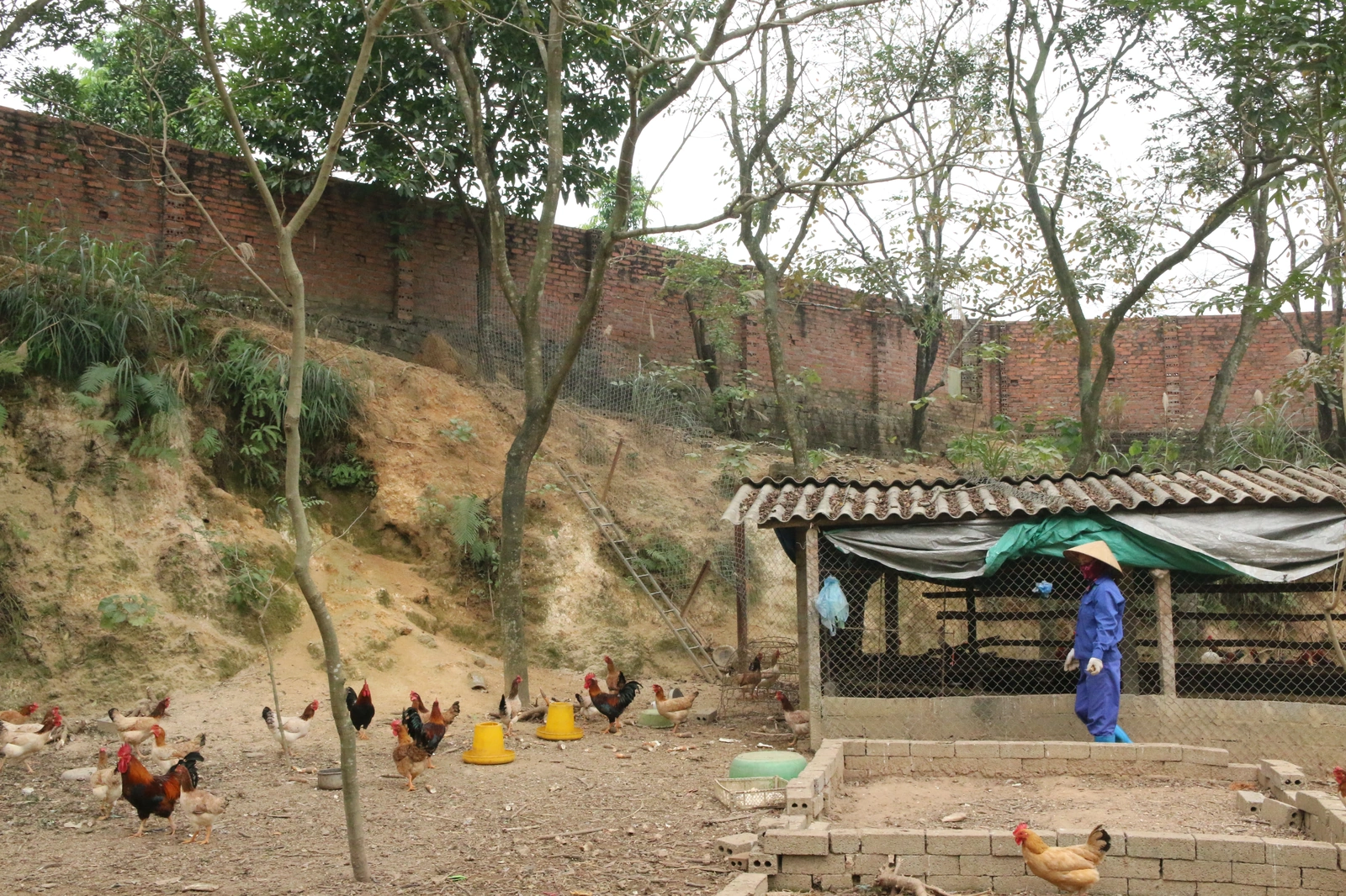 Hiệu quả từ các mô hình an toàn thực phẩm trong trường học