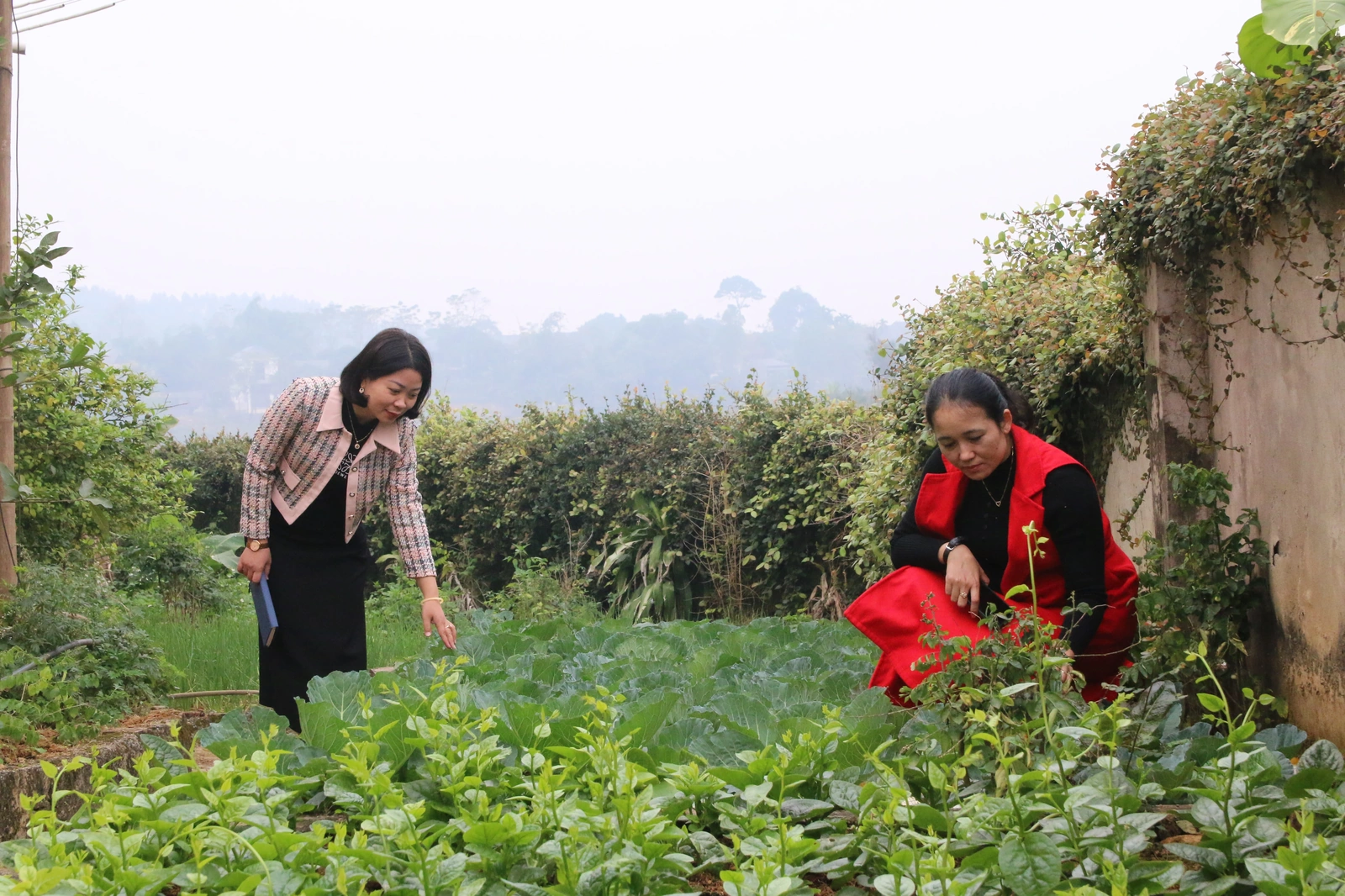 Hiệu quả từ các mô hình an toàn thực phẩm trong trường học