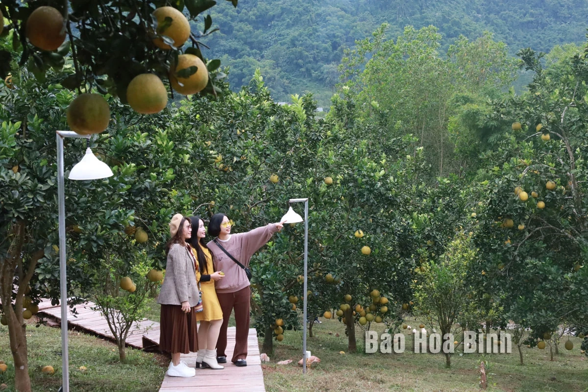 Trải nghiệm hấp dẫn tại Ora Hill Farmstay & Glamping Hòa Bình