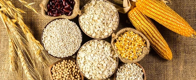 6 thực phẩm tốt nhất cho người bệnh viêm phổi