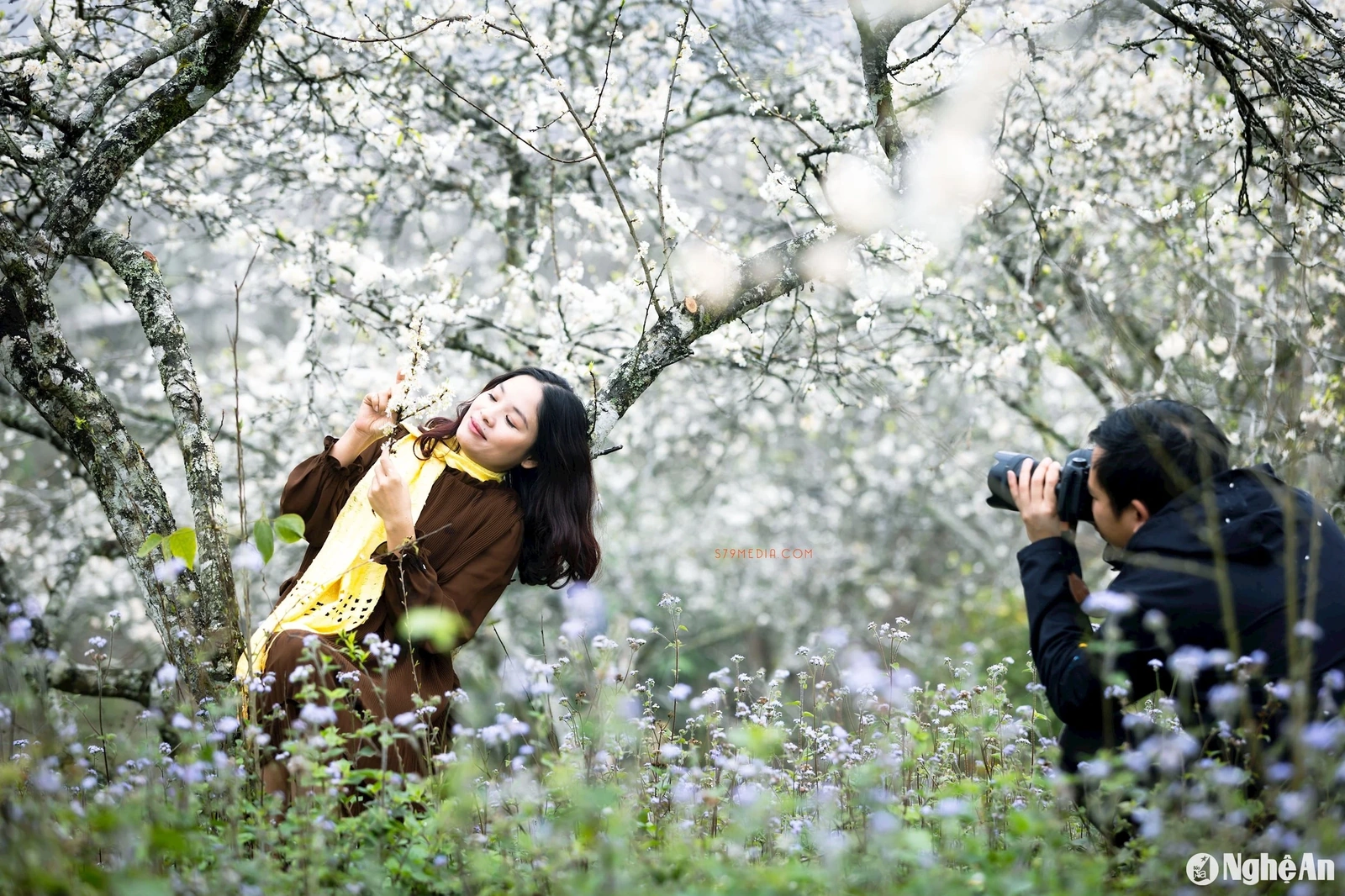 Những “điểm hẹn mùa Xuân” ở Nghệ An