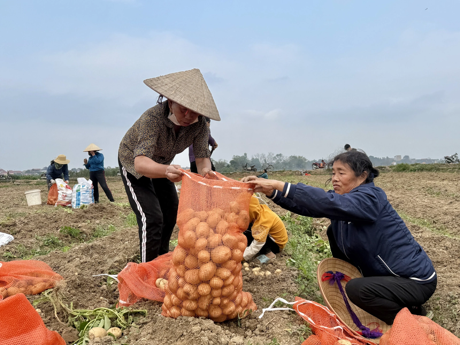 Sơn Vi đón lộc đầu Xuân