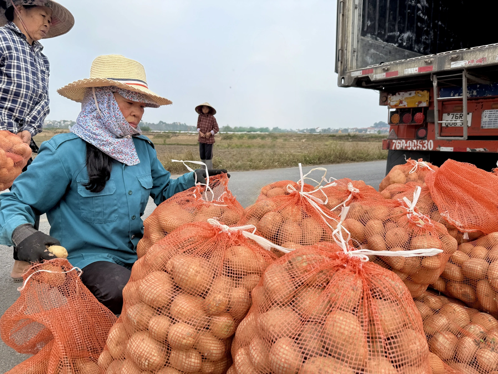 Sơn Vi đón lộc đầu Xuân