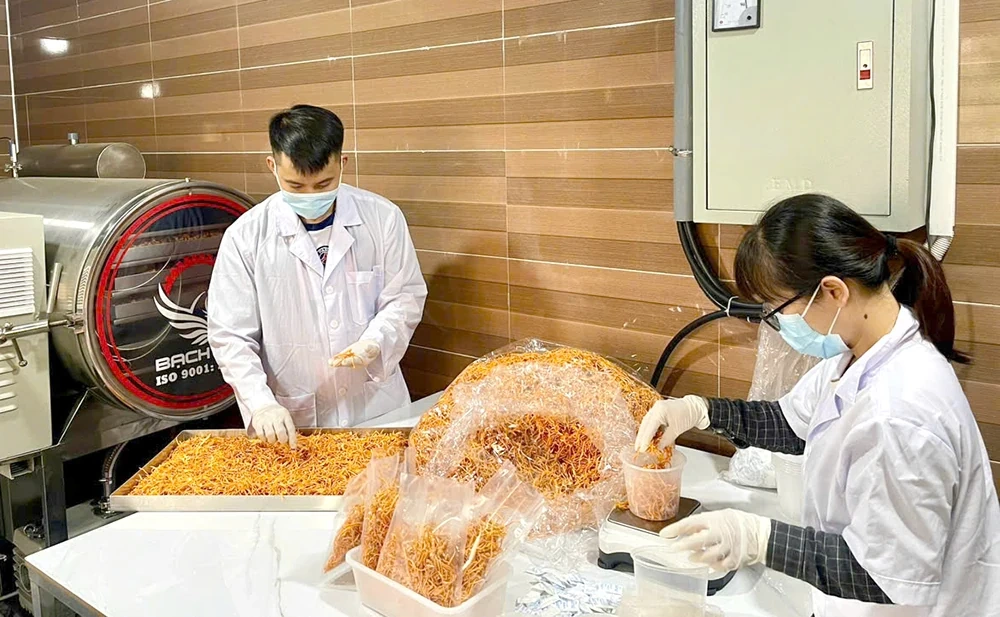 Phát triển chuyển đổi số nông nghiệp