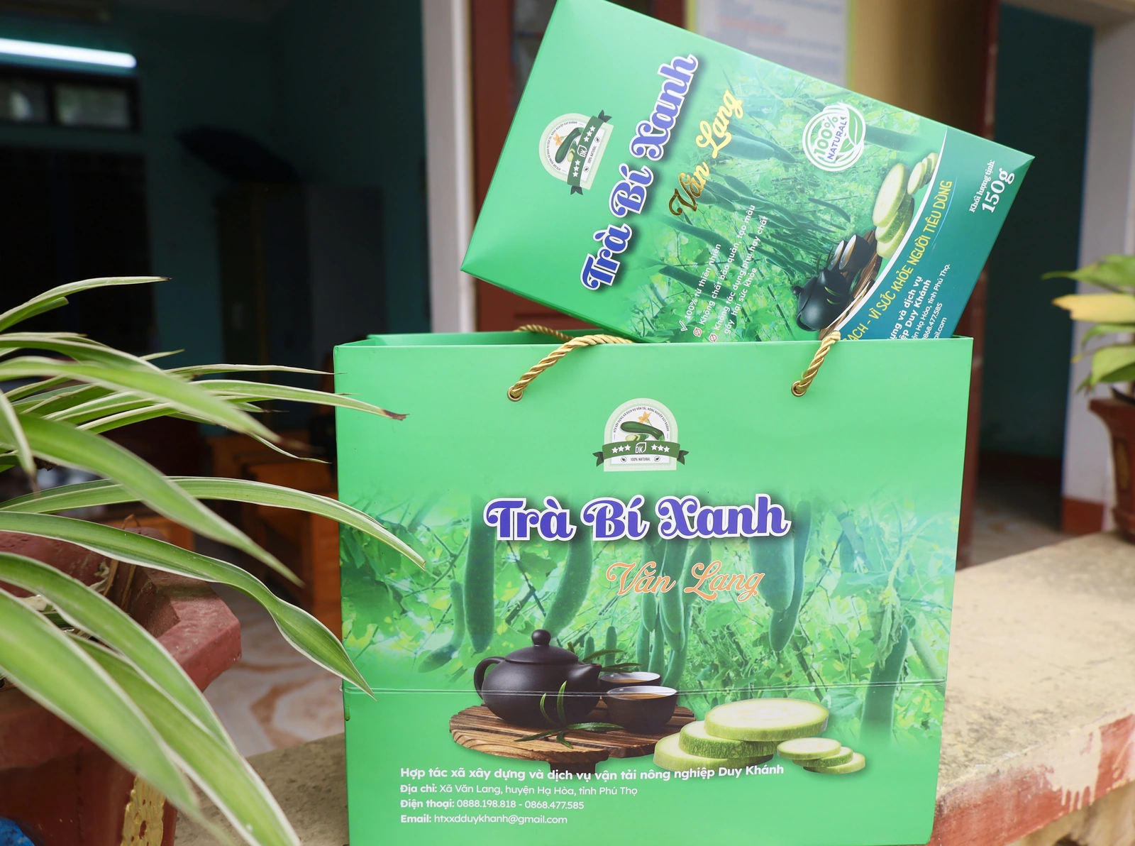 Trà bí xanh Văn Lang - sản phẩm từ bí xanh an toàn xã Văn Lang