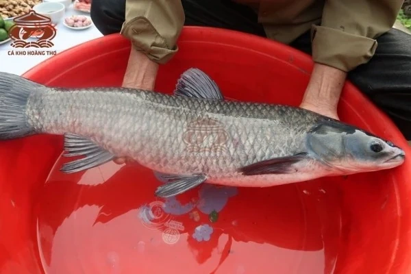 Top 5 món đặc sản Việt Nam không thể bỏ qua: Cá kho làng Vũ Đại dẫn đầu