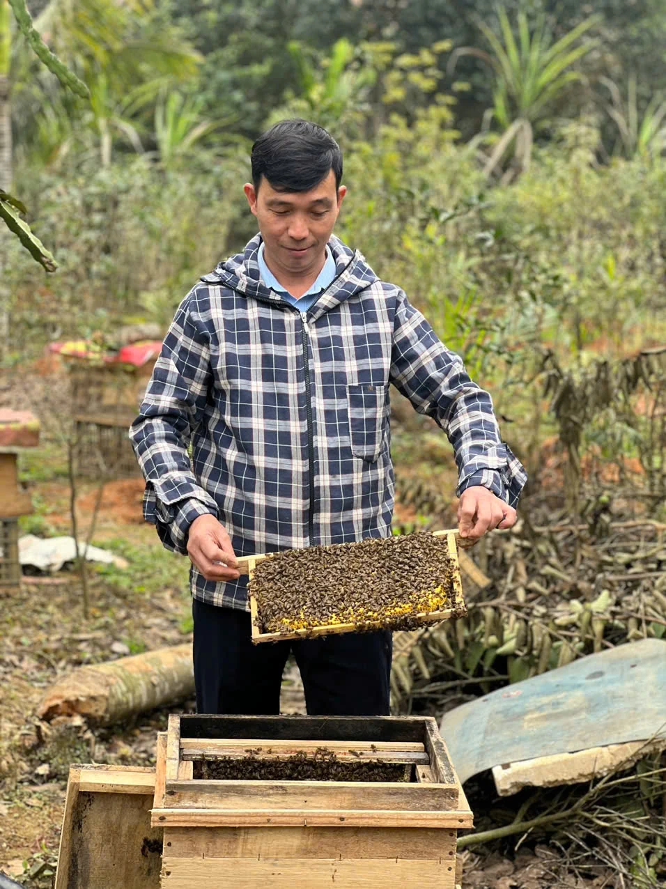The sweet taste of Trung Giap honey