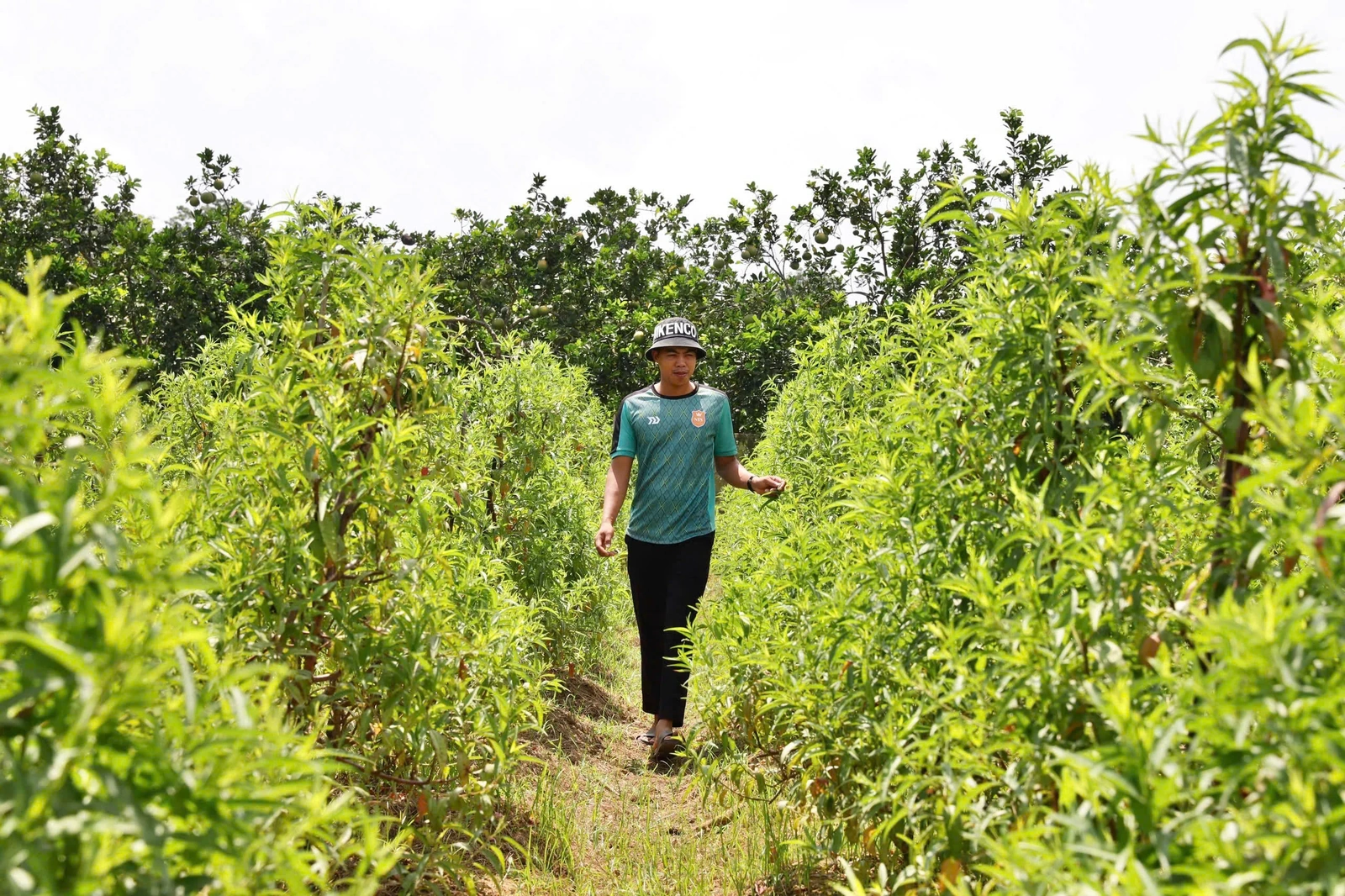 KỲ 3: Hướng tới sự đồng thuận