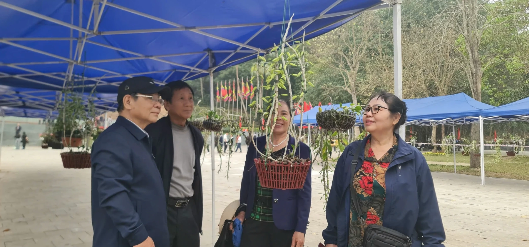Trưng bày hoa lan nghệ thuật toàn quốc tại Đền Hùng