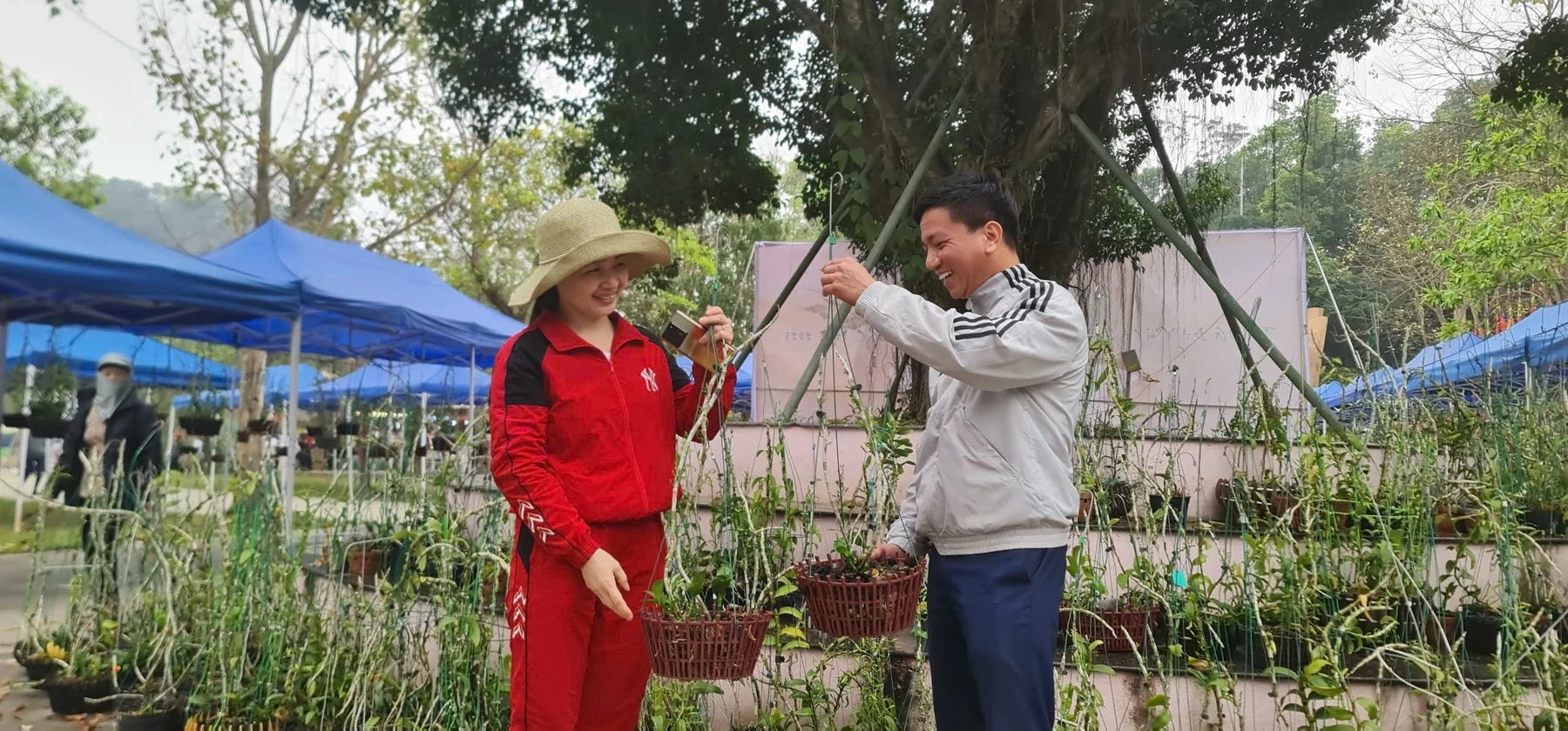 Trưng bày hoa lan nghệ thuật toàn quốc tại Đền Hùng
