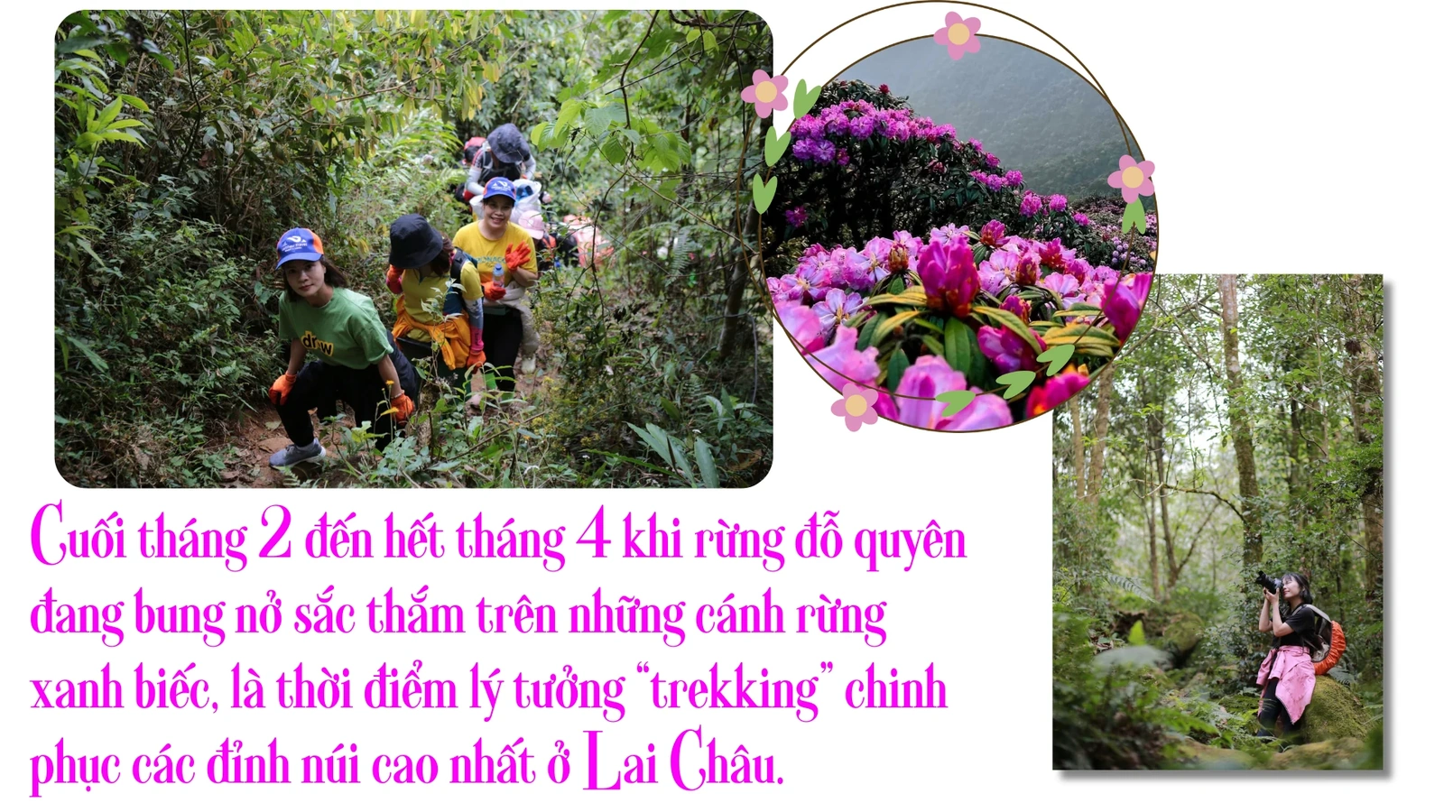 Trekking chinh phục đỉnh hoa Đỗ Quyên - Sản phẩm du lịch hấp dẫn ở Lai Châu