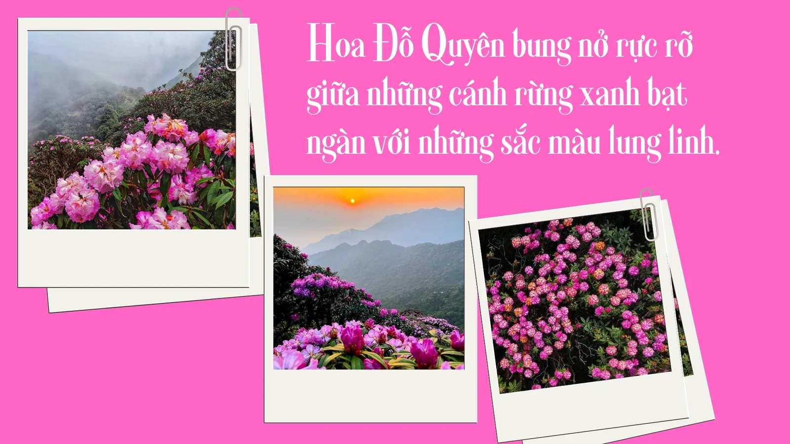 Trekking chinh phục đỉnh hoa Đỗ Quyên - Sản phẩm du lịch hấp dẫn ở Lai Châu