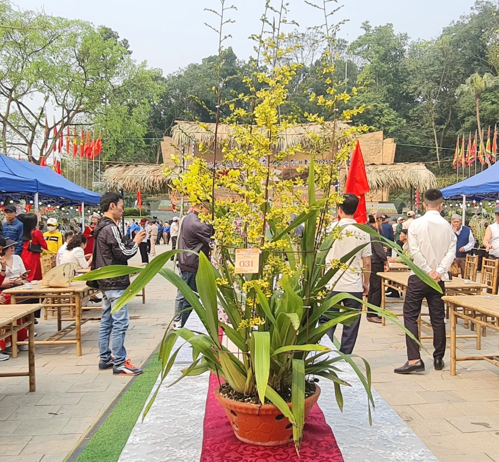 Trao giải hoa lan nghệ thuật toàn quốc lần thứ II