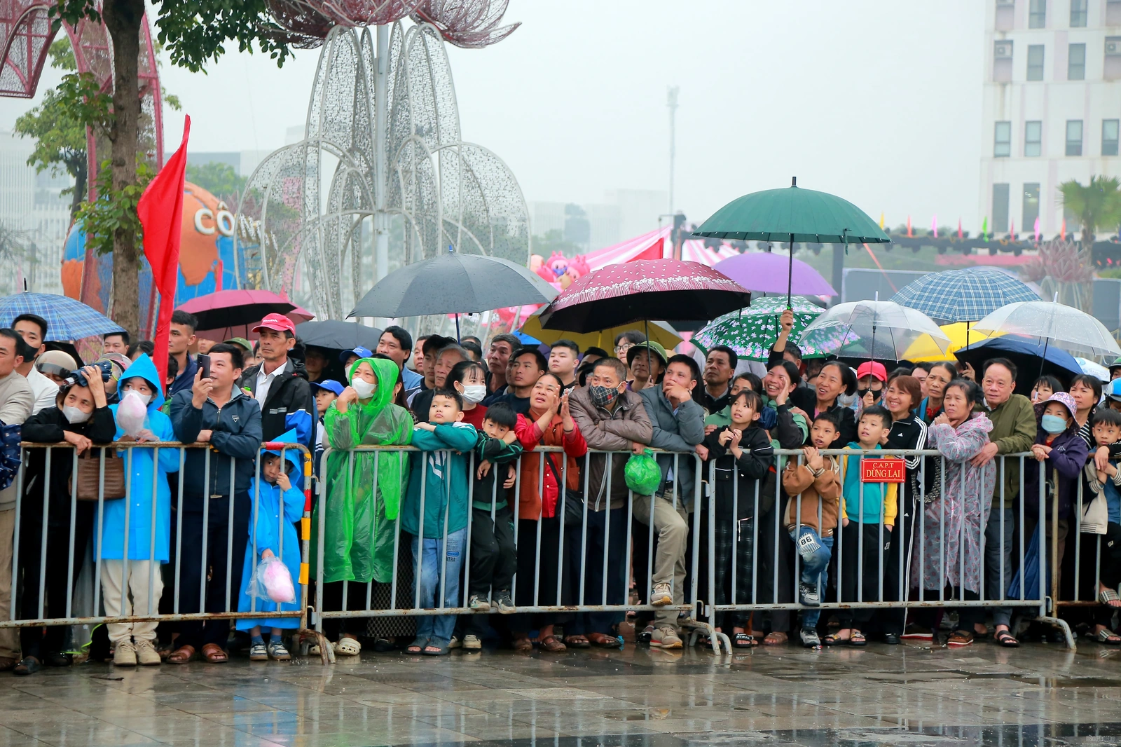 Bạch Hạc vô địch giải Bơi chải thành phố Việt Trì mở rộng