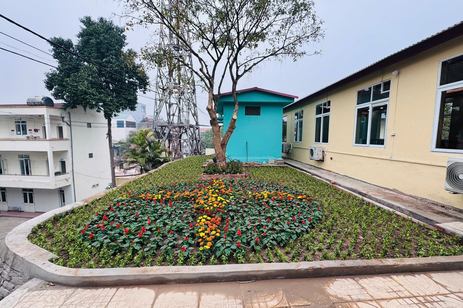 Hiệu quả triển khai chương trình 5S tại Công ty Điện lực Phú Thọ